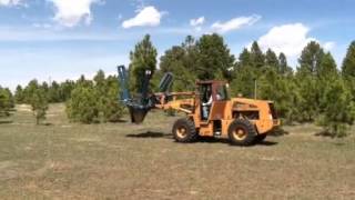 Nursery Colorado Springs  Heidrichs Colorado Tree Farm Nursery Ponderosa Pine [upl. by Albert145]