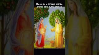 Muy buenos días queridos hermanos y hermanas en Cristo Jesús aquí está la diferencia entre el arca [upl. by Levina396]