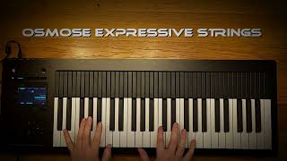 Expressive E Osmose Realistic Strings osmose [upl. by Killen]