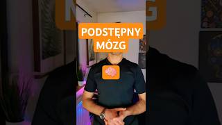 Podstępny mózg 🧠 [upl. by Odawa498]