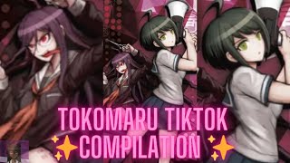 ✨TOKOMARU TIKTOK COMPILATION ✨ [upl. by Nevarc]