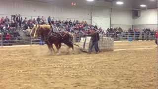 Orangeville Horses Pull 18000 lbs 2013 [upl. by Haisa821]