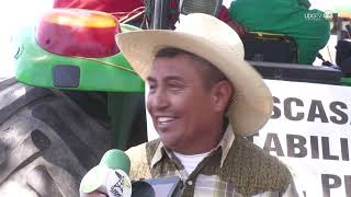 Productores que apostaron a siembra de agave en Jalisco resienten desplome en precio [upl. by Nerhe]