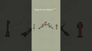 Dogs for no reason 🤣 4k memes shorts [upl. by Ingmar]