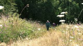 Wandelen in ZuidLimburg [upl. by Nnaear]