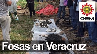 Encuentran más fosas clandestinas en Veracruz [upl. by Arihppas]