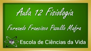 Fisiologia Aula 12  Músculo liso  estrutura e organização [upl. by Bora]