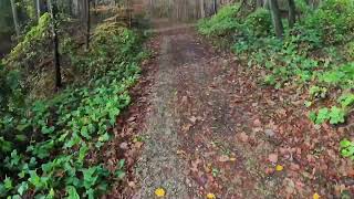 Dahlgren Heritage Rail Trail  6 Mile Shakeout Run [upl. by Stephi]