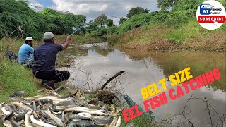 Best Baam fishing Technique Fishing For Baam Catch With Singal hook uniquefishingtechnique video [upl. by Griffin140]