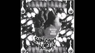 Septicemic Plague  Creeping Flesh Horror EP 2018 Full Album Goregrind [upl. by Georges229]