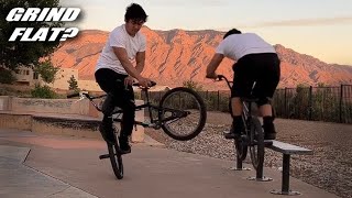 BMX Local Skatepark Tour Grind Flat Combos [upl. by Froemming690]