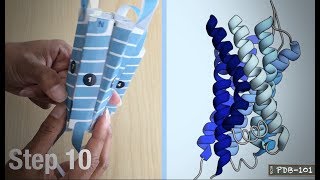 Build a Paper Model of a G ProteinCoupled Receptor GPCR [upl. by Gobert]