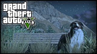 GTA 5 Next Gen  THREE Peyote Plant Locations 5 6 amp 7  quotPlay as Animalsquot 727 Peyote Plants [upl. by Bren]