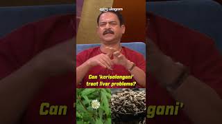 Can Karisalangani treat liver problems [upl. by Salokkin784]