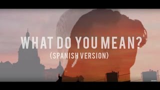 What do you mean spanish version  Dani Garcia Cover [upl. by Tennaj]