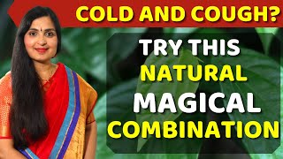 How To Get Rid Of COLD FAST  Remove Chest Congestion Cough  Best Home Remedy For Cold cold [upl. by Wesa]