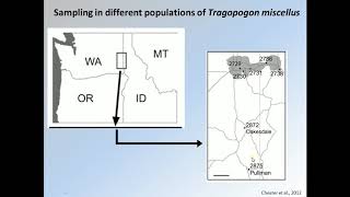 Genetic diversity and plant breeding SLU  Meiotic defects in polyploids [upl. by Morgen]