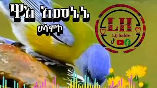 old Hadiyisa mezmur 👉SUBSCRIBE አድርጉ🙏🙏 [upl. by Ahsem624]