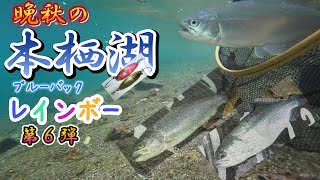 晩秋の本栖湖で紅葉を観ながら⭐ブルーバックレインボーを釣る🌈2024本栖湖第六弾トラウトルアーFスプーンLake MotosuBlueback Rainbow Trout釣行日20241118 [upl. by Arawaj]