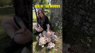 🔥Mushroom Explosion🔥shorts mushrooms foraging mushroomhunting [upl. by Dnomhcir]