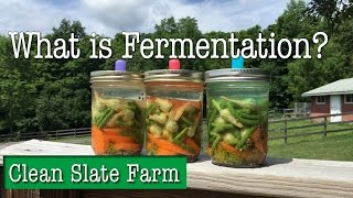 What is fermentation What is pickling Are they the same [upl. by Ulysses964]