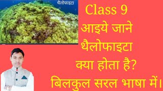 thallophyta class 9  उपजगत थैलोफाइटा vidio 59 [upl. by Jariv]