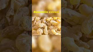 Boswellia Extract A Herbal Remedy For Joint Inflammation  Boswellic acid factory [upl. by Lyckman]