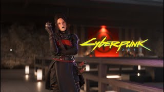 Cyberpunk 2077  This is my new favourite way to play [upl. by Suitangi]