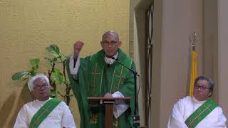 Fr Marvin Felipes Homily 020319 [upl. by Aiekat463]