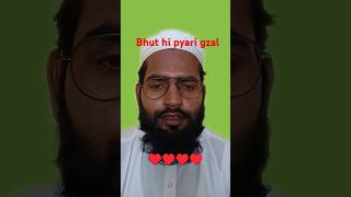 Jhagda Na Kabhi Hindu Musalman Karege dilshad zakhmi ki gazalmushaira shortsvideo trendingviral [upl. by Enobe]