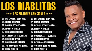 Los Diablitos  Colección de las Mejores Canciones  Concierto Vallenato Clásico [upl. by Anaidiriv246]