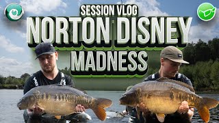 NORTON DISNEY MADNESS  SESSION VLOG [upl. by Atiana166]