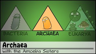 Archaea [upl. by Nahtan635]