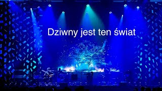 KASIA KOWALSKA „Dziwny jest ten świat” muz i sł Cz Niemen Gig 09112024 Sala Ziemi  Poznań [upl. by Mohammed858]