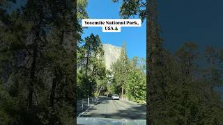 America dincolo de zgarienori Parcul National Yosemite 🌲 travel usa youtubeshorts [upl. by Imre]