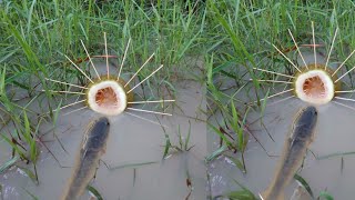 Survival Skills SIMPLE But Useful with orange fish trap bushcraft outdoor camping [upl. by Leirbaj]