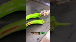 How to Make Authentic Green Chili Traditional vs Bell Pepper Method [upl. by Duval]