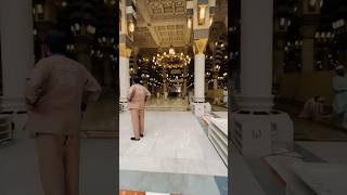 Masjid Nabawi history madina masjidnabawi riazuljannah amazingfacts islamicbuilding ytshorts [upl. by Enyamert]