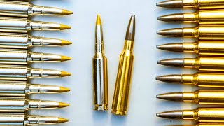 Best Long Range Calibers for 2024 [upl. by Saum999]