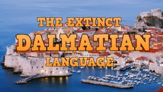 DALMATIAN LANGUAGE  the missing link ROMANCE LANGUAGES [upl. by Acessej230]