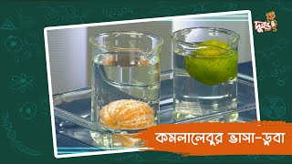 কমলালেবুর ভাসাডুবা  মজার ছলে বিজ্ঞান  ভুলোস্টাইন  দুরন্ত টিভি [upl. by Valdis]