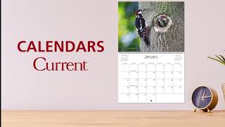 Current Wall Calendars [upl. by Oivaf]