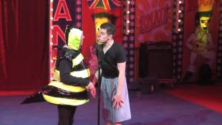 Circus Hilarious  Hippodrome Circus  Bee Routine [upl. by Olleina972]