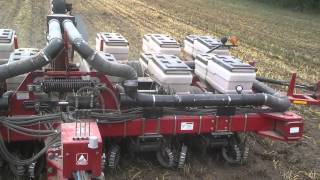 White 6343 black machine planting beans with 6430 [upl. by Elleneg92]