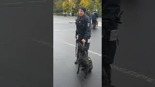 👊🐶👊quotSelber Schuldquot Polizei hetzt Hunde auf letztegeneration I [upl. by Ettennig]