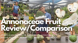 Annonaceae Fruit Review  Comparison  Soursop Cherimoya Sugar apple amp Atemoya [upl. by Delija162]