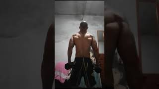 Musculação em casa Treino de trapézio [upl. by Calvano]