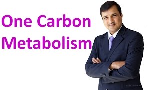 One Carbon Metabolism [upl. by Attevaj]