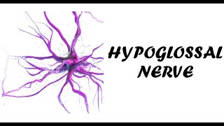 Hypoglossal Nerve Examination  Cranial Nerve 12 Examination  Examination of Hypoglossal Nerve [upl. by Tacye]