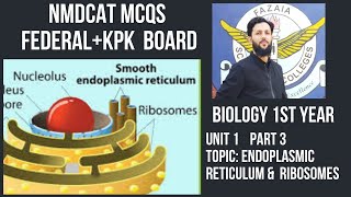 Endoplasmic reticulum amp Ribosome class 11 MDCAT MCQS Preparation NBFKPK Urdu Hindi [upl. by Eelak]